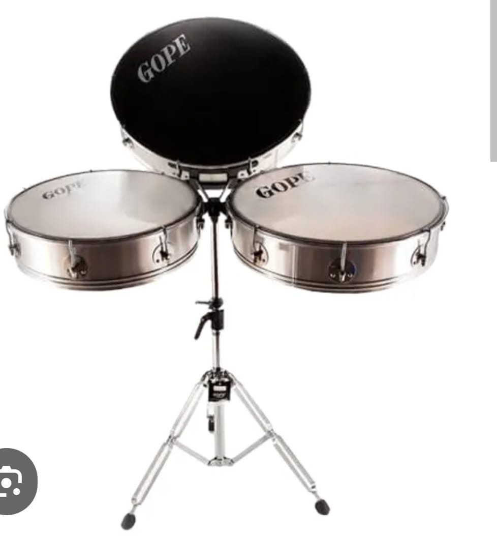 Surdo